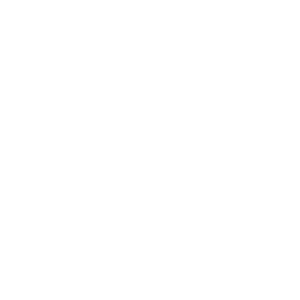 Subsea Environmental Services (SES)