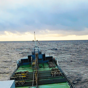 Subsea Environmental Services Boats